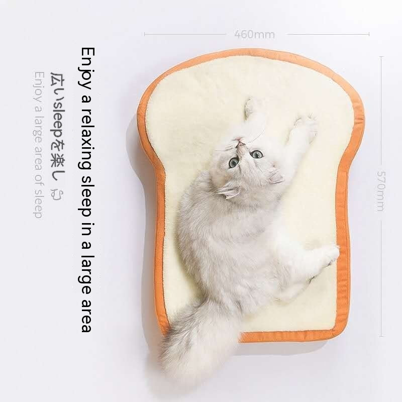 Hokkaido's Tomer's Animal Cat Sleep
