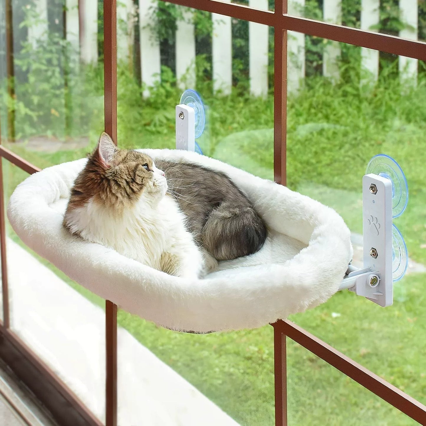 Household Sun Glass Hanging Sucker Cat Nest