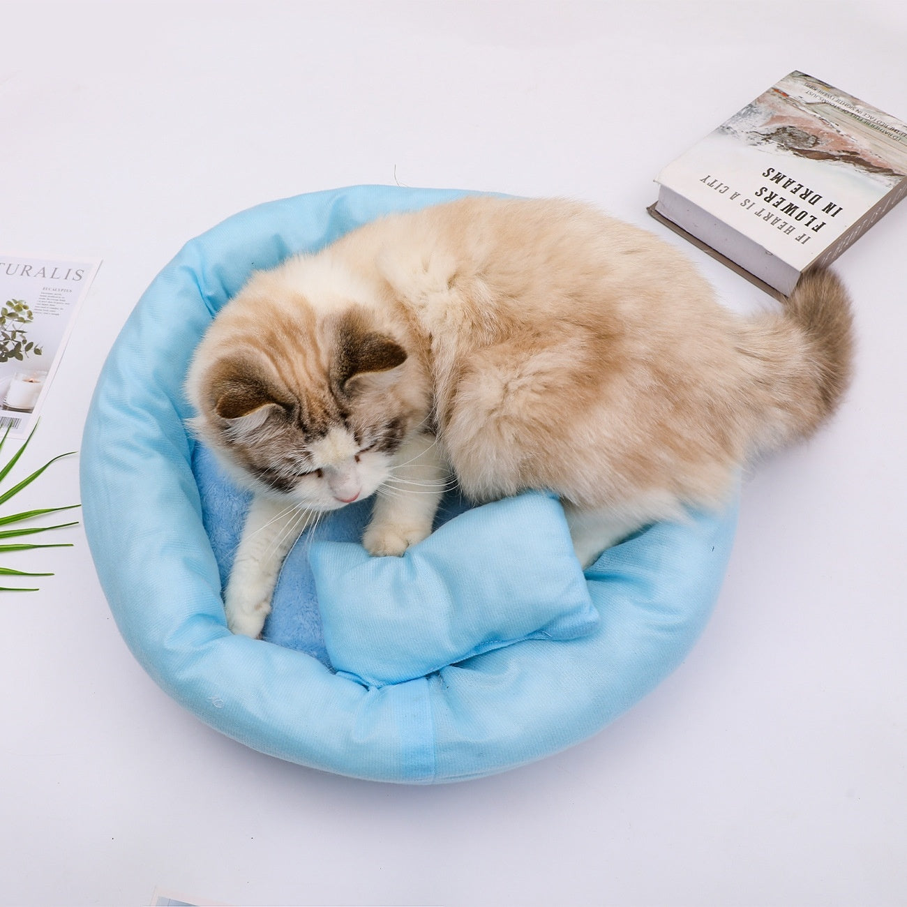 Winter Minimalist And Versatile Warm Cat Nest