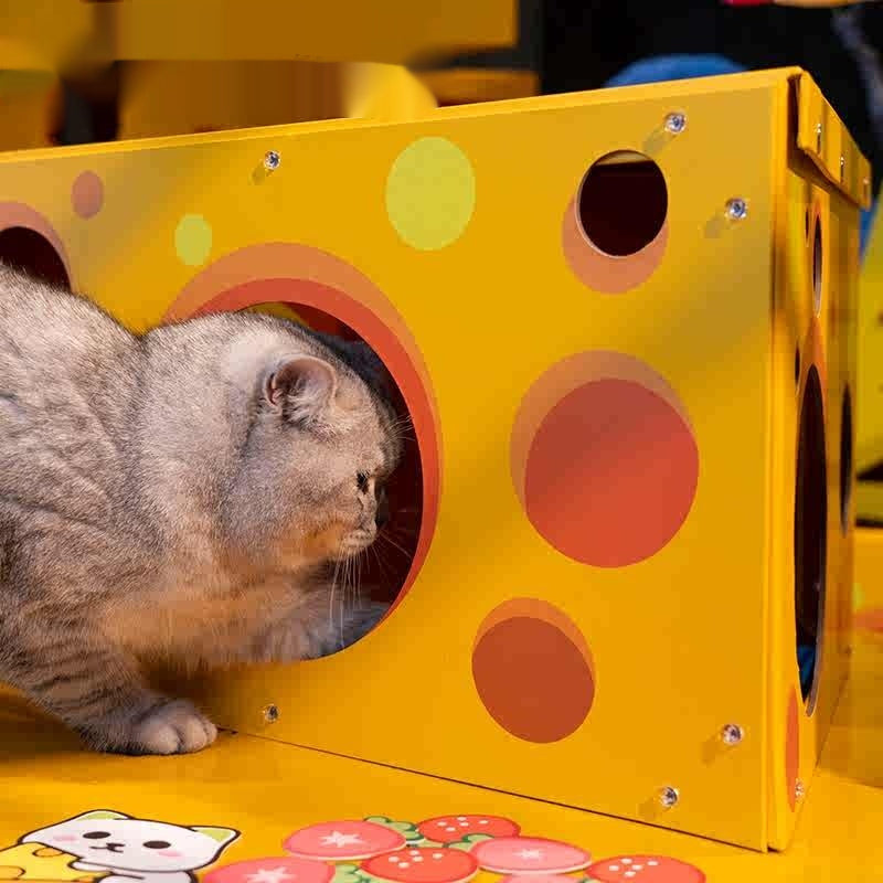 Cheese Cat Scratch Board Cat Nest