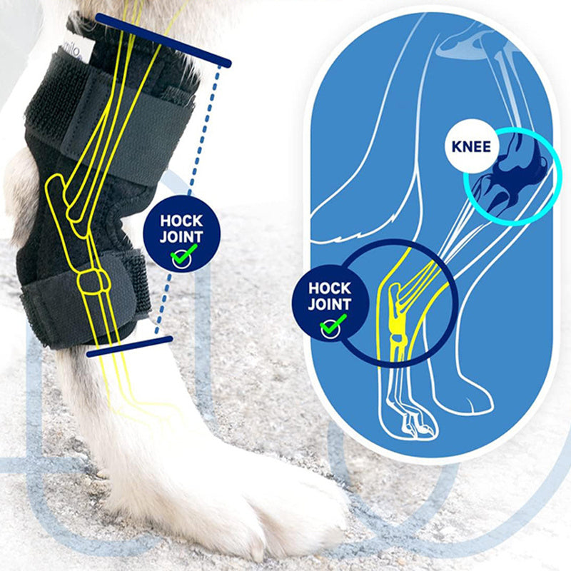 Pet Dog Leg Guard Joint Knee Pads ACL Ligament Tear Protection Assisted Rehabilitation Cat Joint 1pcs