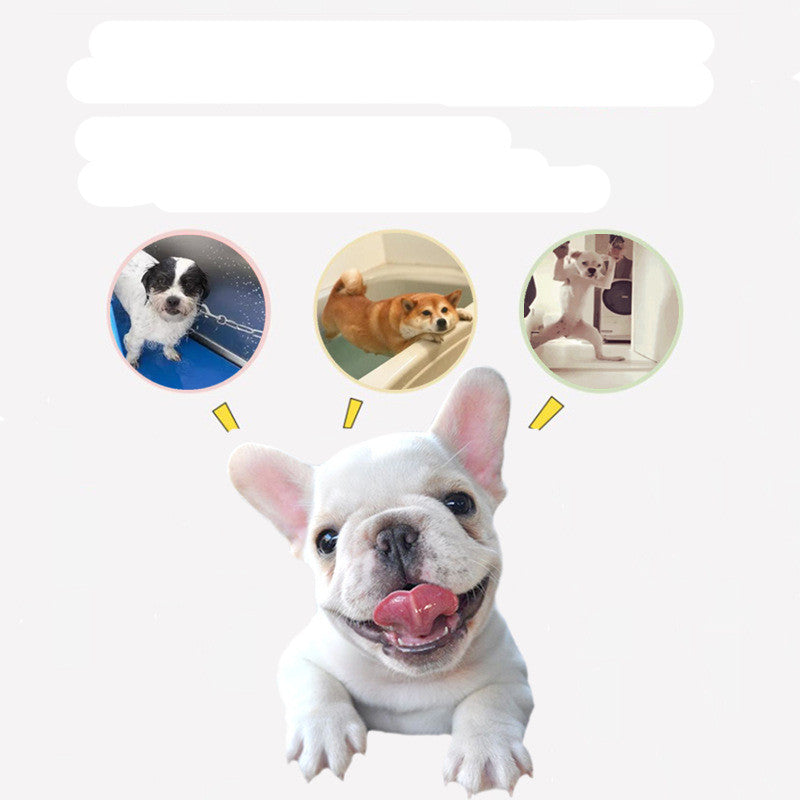 Pet Bathing Silicone Suction Cup Fixed Bowl Eating Slowly To Divert Attention Dog Paw Pad