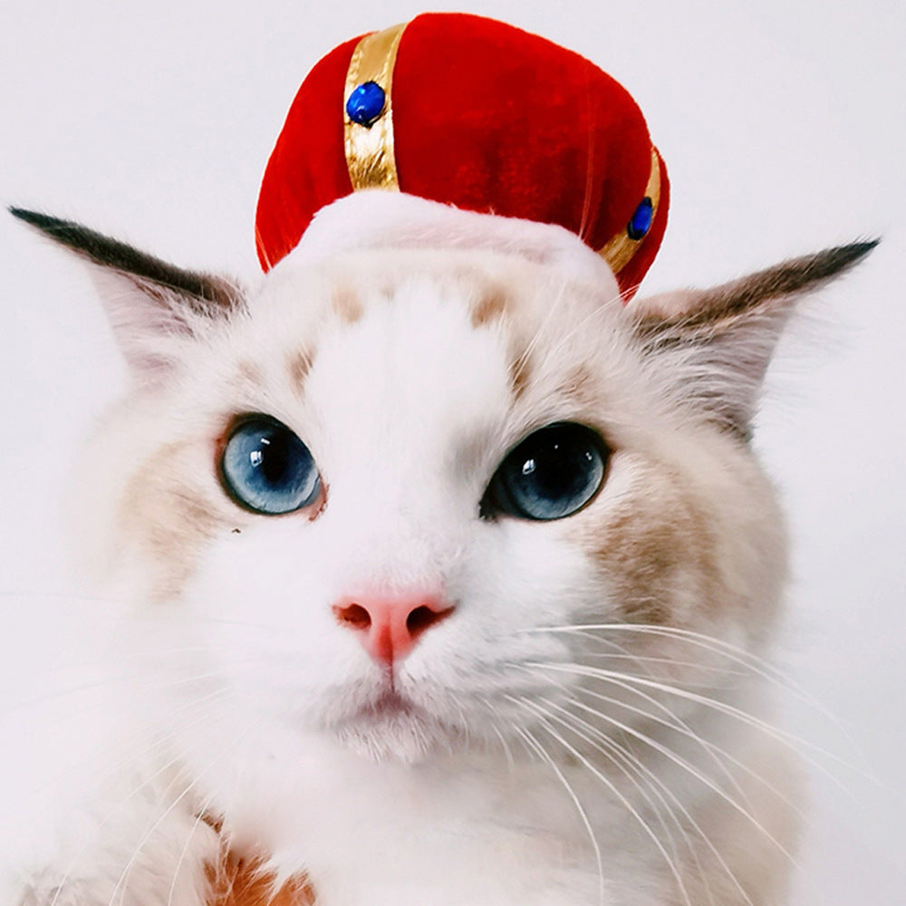 Funny Pet Dog Cat Costume Warm Hat Photo Props Headwear