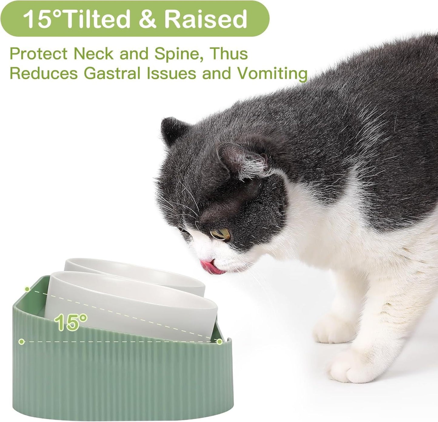 Ceramic Elevated Cat Bowls For Indoor Cats 15 Tilted Stand Anti Vomiting Raised Cat Food And Water Bowls Set Raised Cat Bowls With Non Slip Cat Bowl No Spill Bowl Dishes For Cats And Puppy