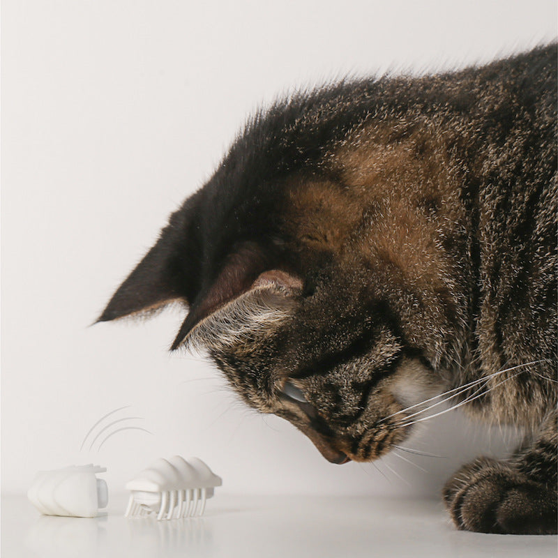 Little Snow Electric Toy Cat Self-hey Toy Puzzle Interactive Pet Supplies