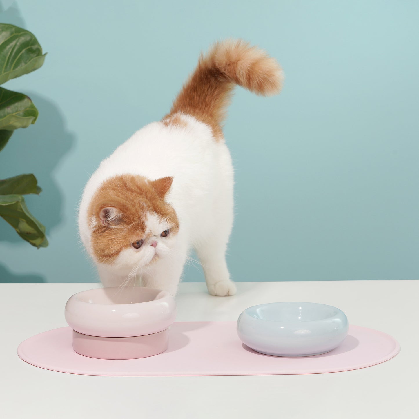 Silicone Anti-spill Placemat Anti-slip And Anti-bite