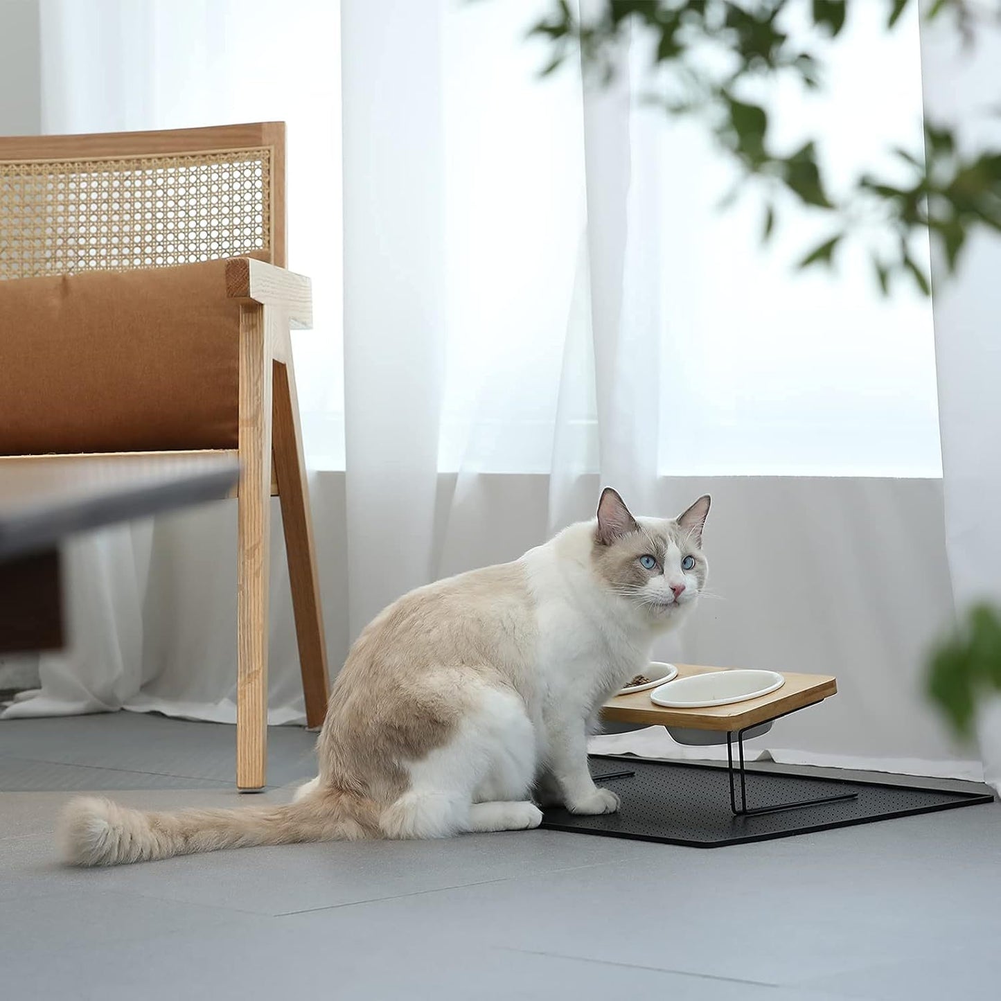 Small Dog Water And Food Feeder - Tilted Ceramic Bowl Set With Bamboo Stand