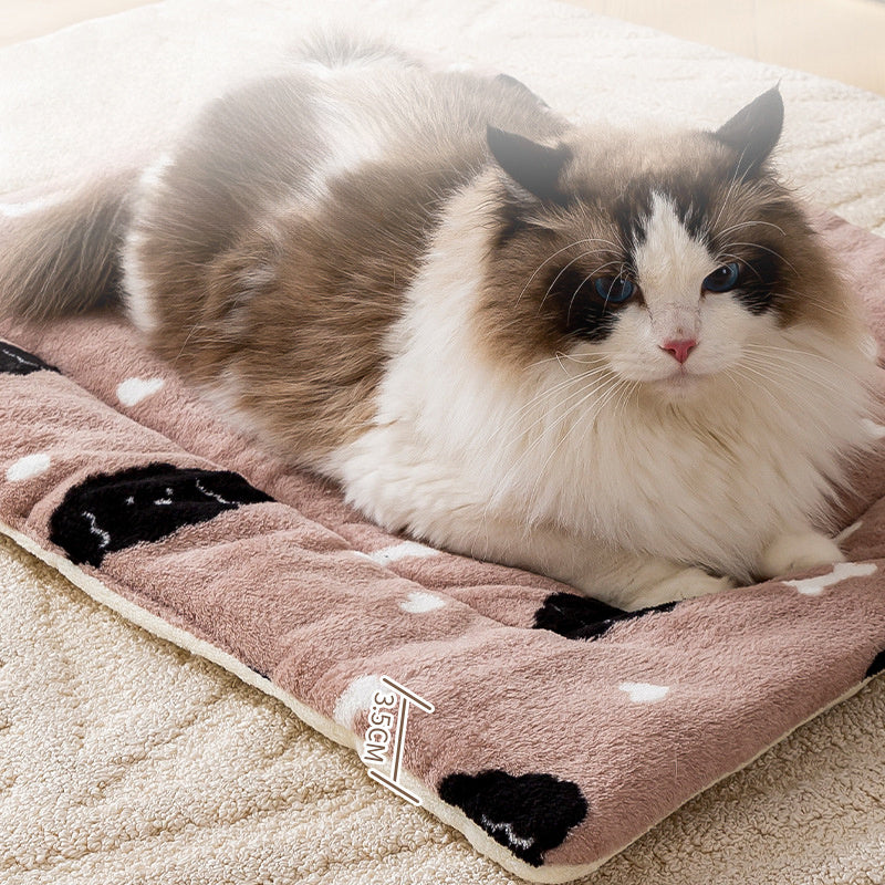 Hot Selling Cute Cat Blanket Pet Winter Warm Coral Velvet Pet Dog Cat Blanket Autumn And Winter Pet Supplies