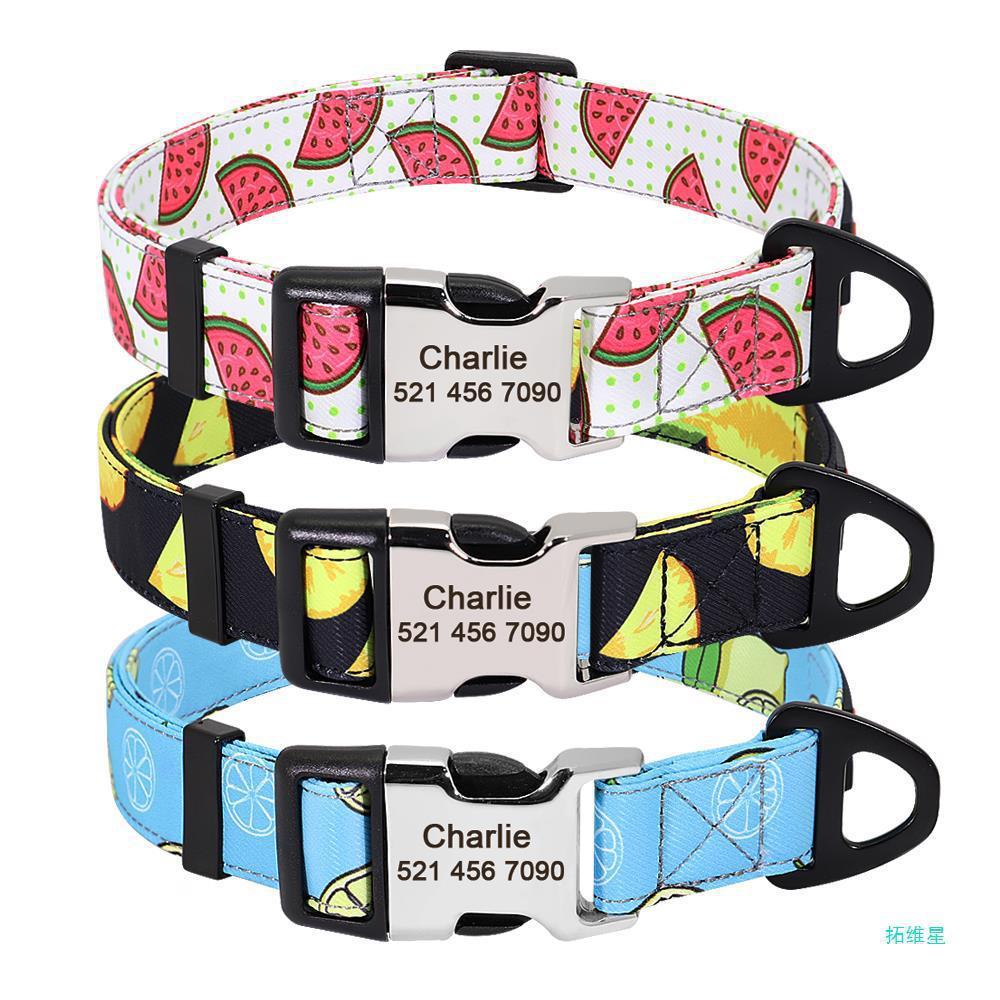 Nylon Pet Collar Personalized Customization