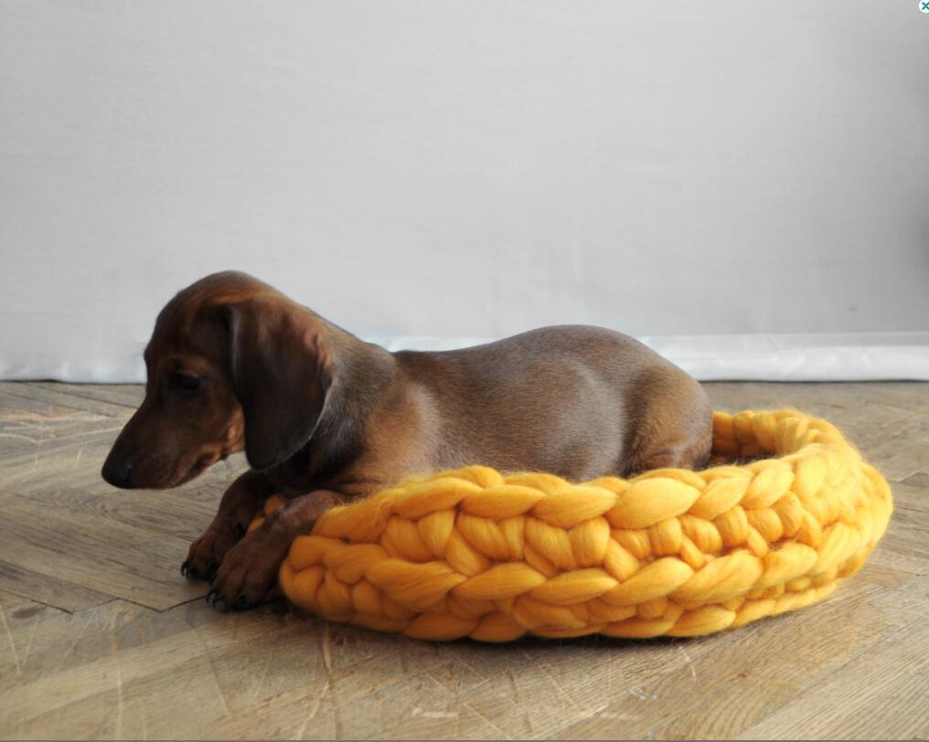 Pet's nest woven with coarse wool
