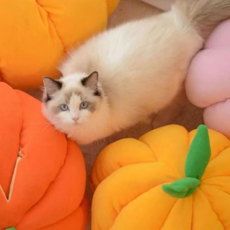 Cat House Pet Bed Pumpkin Nest Cattery Deep Sleep Keep Warm In Winter Semi-enclosed Cat Sleeping Bag Kennel Cat Products