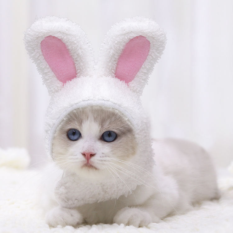 Fashion Warm Rabbit Ears Pet Hat