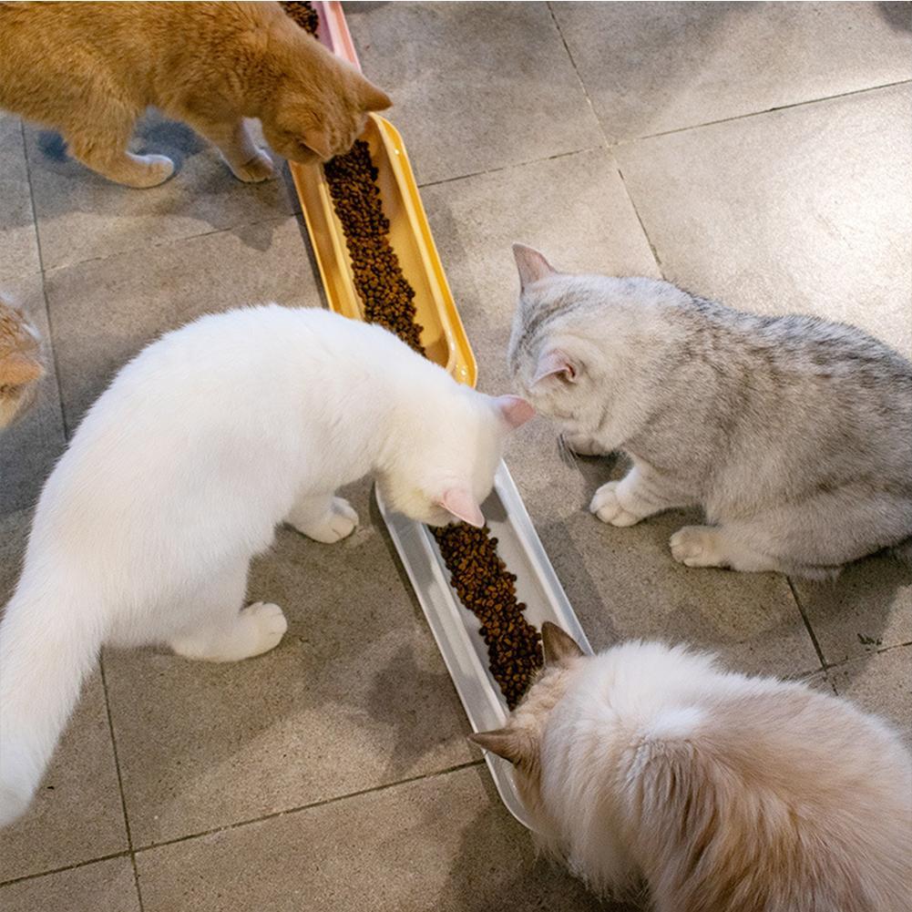 Pet Bowls Dog Food Water Feeder Leakproof Cat Dog Food Feeder Pet Supplies For Multiple Kitten Puppy Hotselling