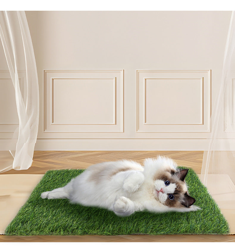 Pet Lawn Mat Dog Floor Mat Fixed Point Nest Washable Wholesale New Product