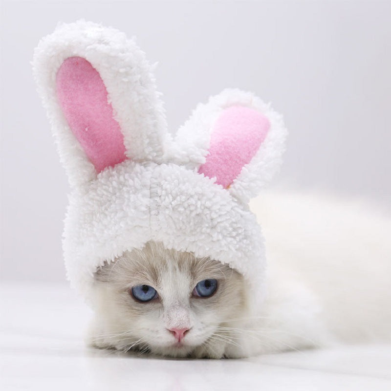 Fashion Warm Rabbit Ears Pet Hat