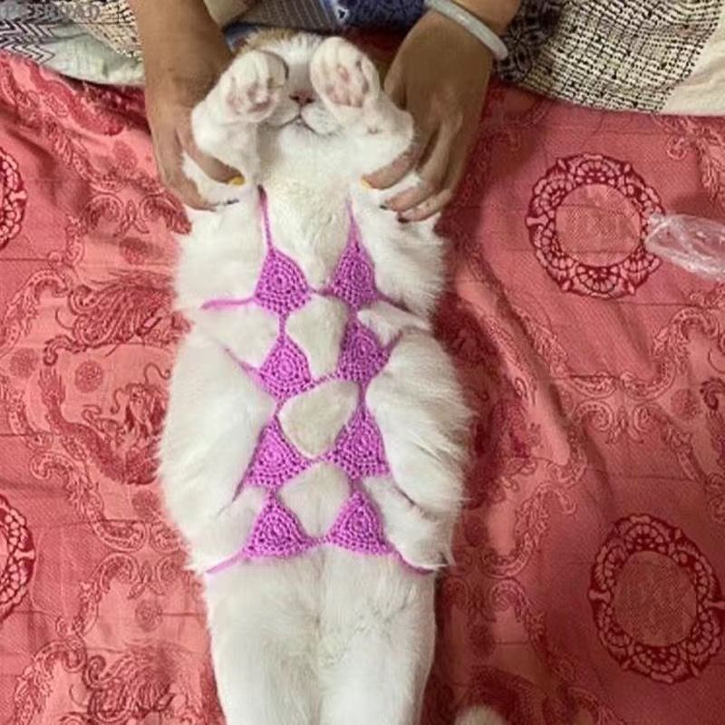 Funny Cat Clothes Cosplay Cat Bikini Sexy Pet Underwear Cat Bra Halloween Dress Pet Bikini Clothing Festival Party Clothing