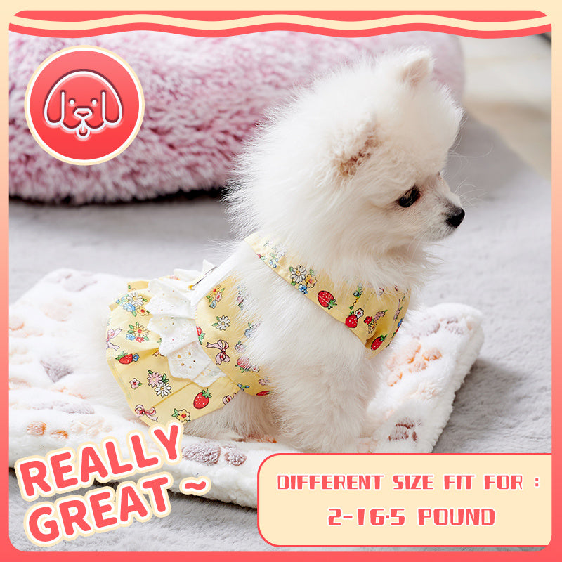 Dog Clothes Harness Dress Leash Set Cute Puppy Dresses With Angel Wings Fashion Outfit Clothing Chihuahua Clothes Pet Harness
