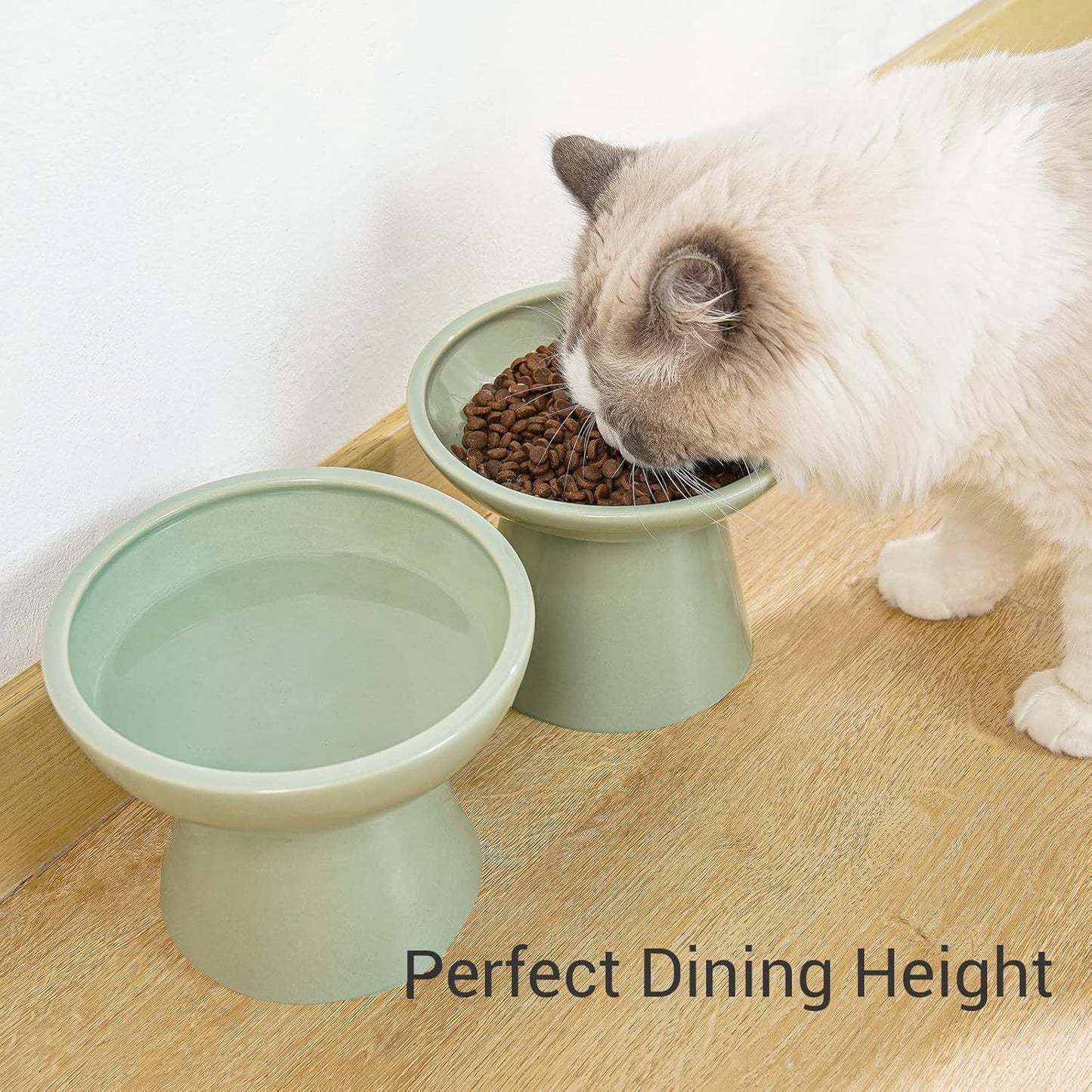 Extra Wide Elevated Cat Food Bowl Ceramic Cat Bowls For Food And Water Wide Shallow Cat Food Dish Whisker Fatigue Lead Cadmium Free Great Height For Cat