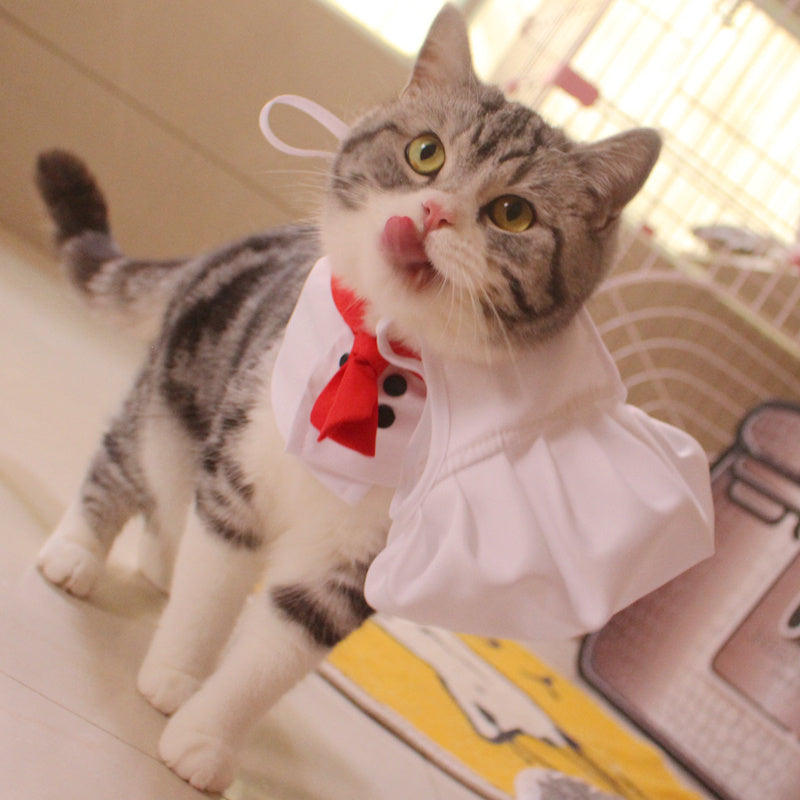 Hat Scarf Pet Changing Outfit