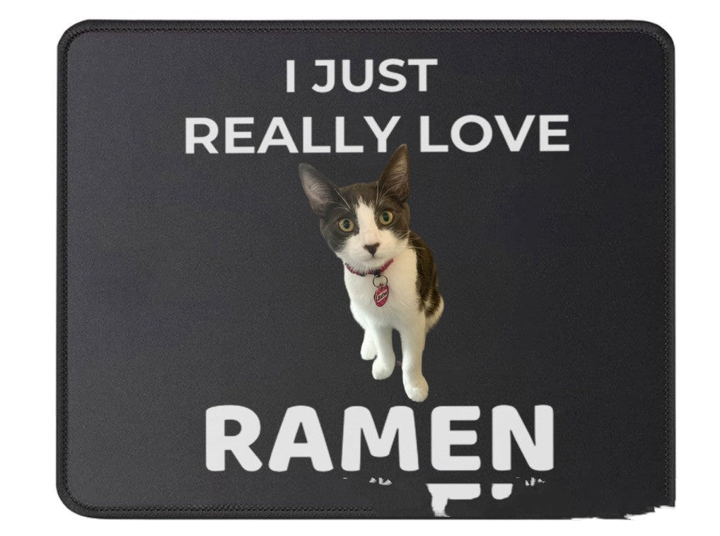 DIY Pet Cat Cloth Mat
