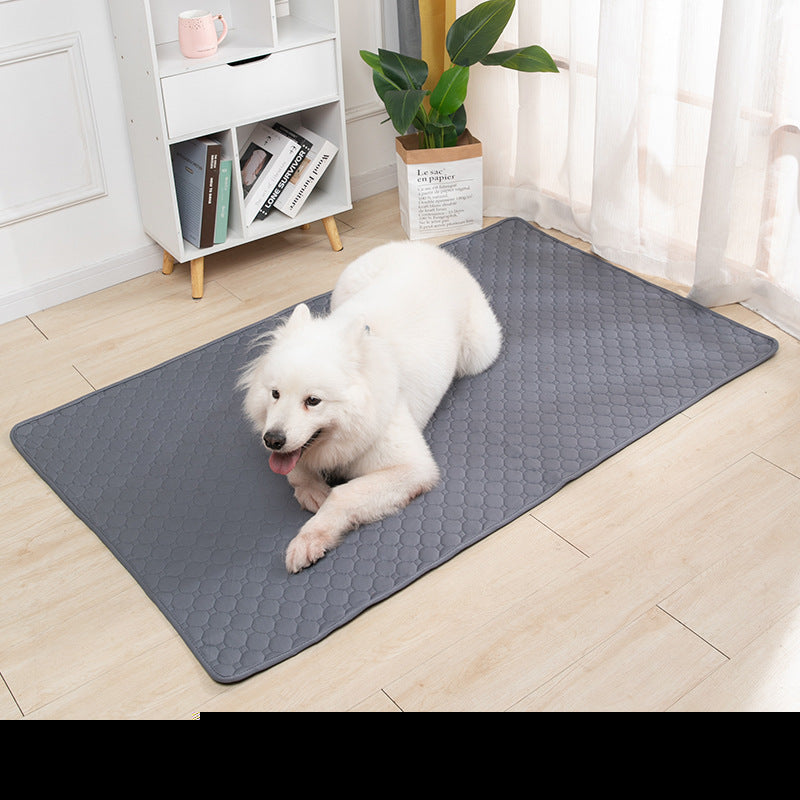 Pet Washable Absorbent Non-slip Easy-drying Urine Pad