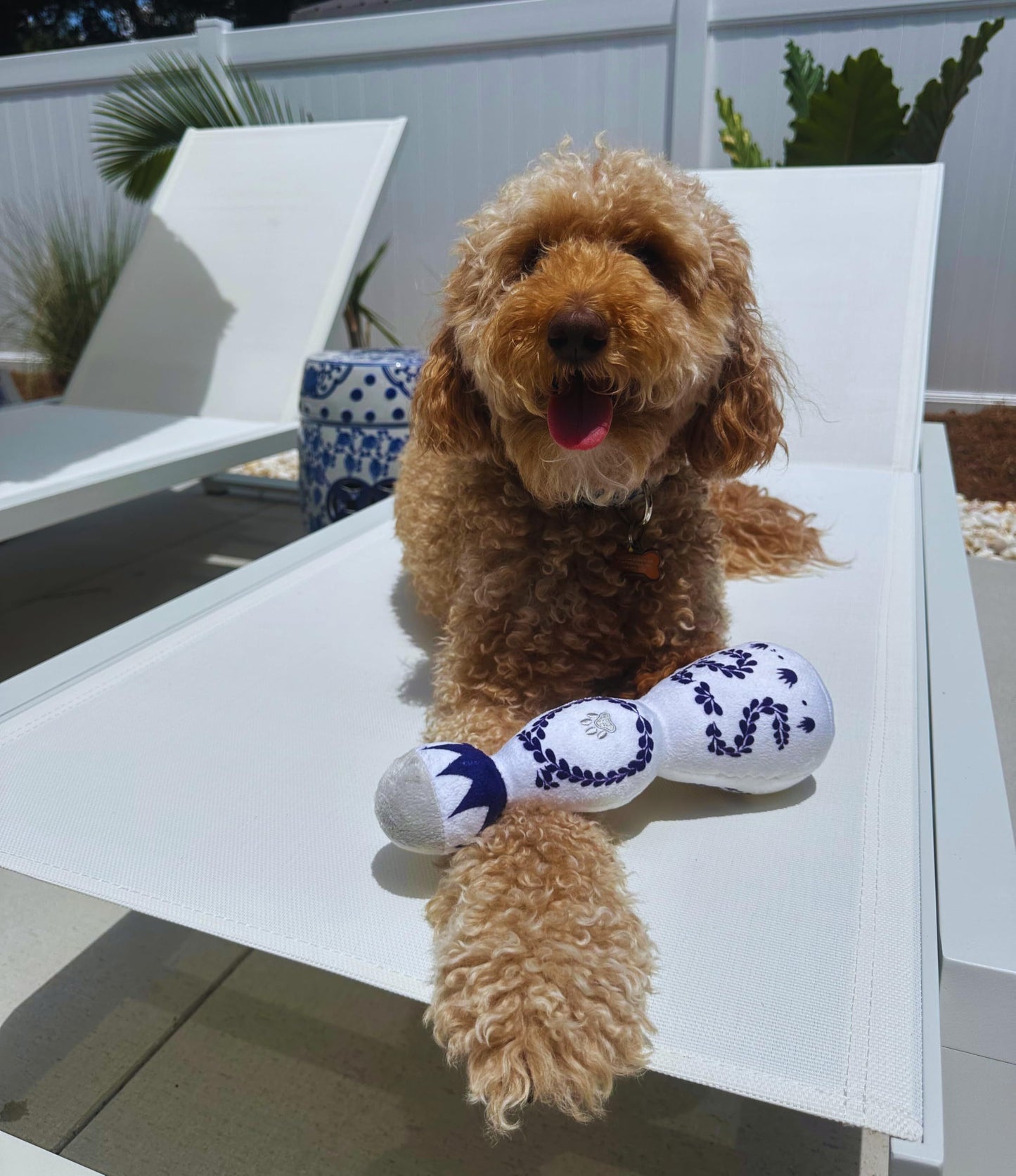 Funny Tequila Dog Toy Boujee Plush Dog Toy With Squeaker Funny And Cute Dog Toy For All Dog Sizes Great DogBirthday Toy Alcohol Dog Toy