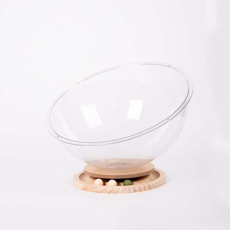 New Cat Space Capsule Bathtub Transparent Acrylic