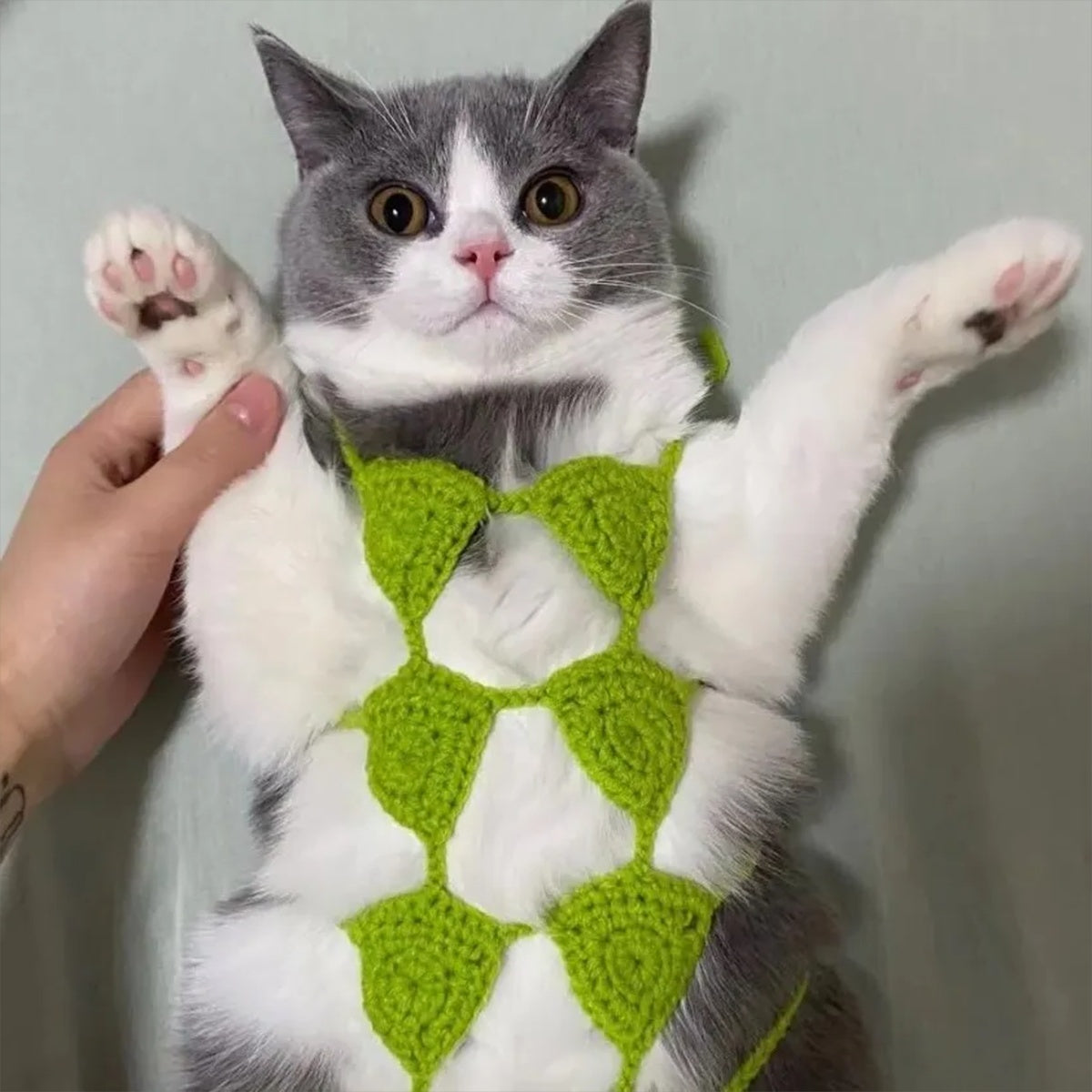 Funny Cat Clothes Cosplay Cat Bikini Sexy Pet Underwear Cat Bra Halloween Dress Pet Bikini Clothing Festival Party Clothing