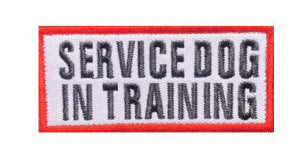 Embroidery Badge Embroidery Cloth Patch Cloth Sticker Velcro Letters