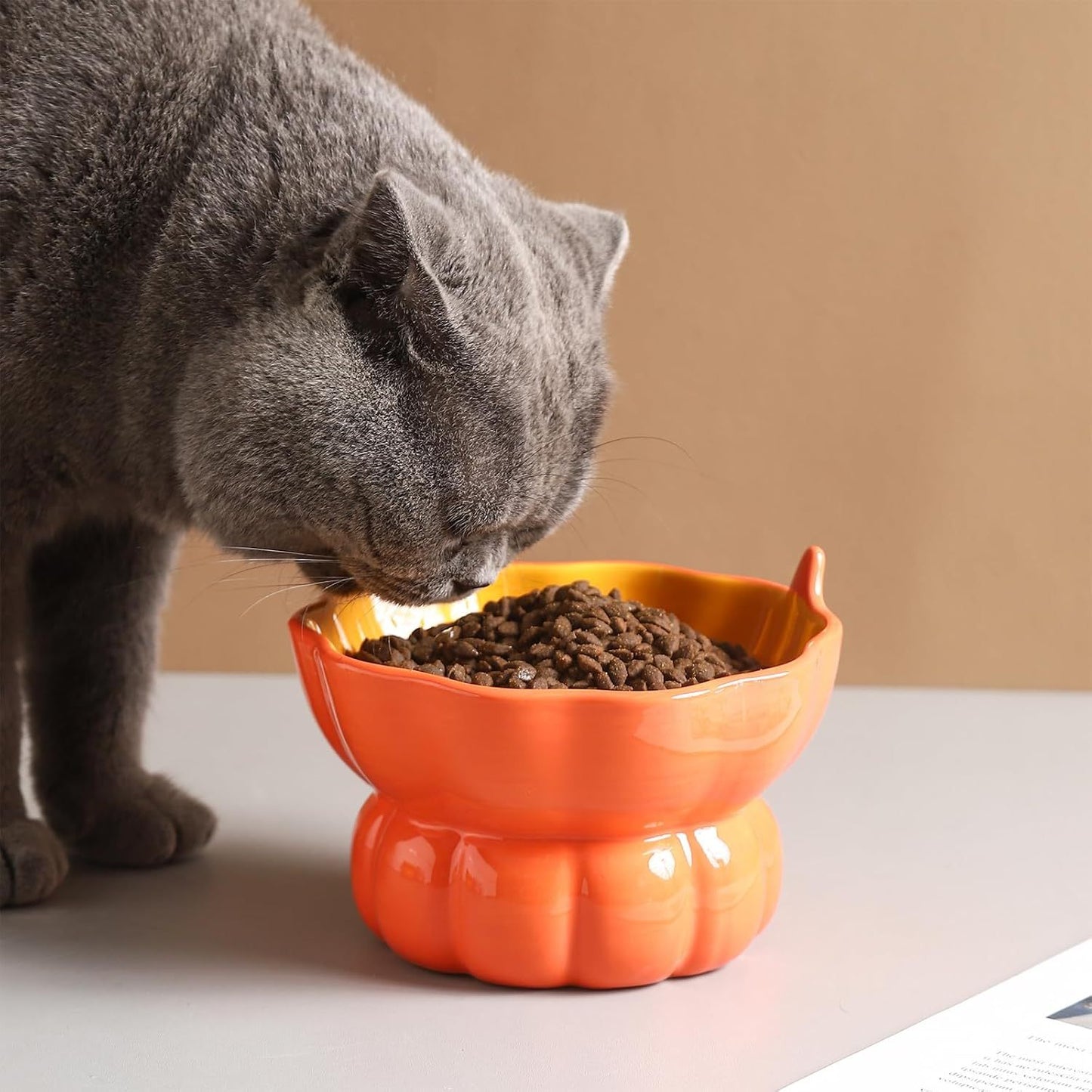 Ceramic Raised Cat Food Bowl - Pink Elevated Dish For Indoor Cats With Anti-Vomiting And Spinal Protection