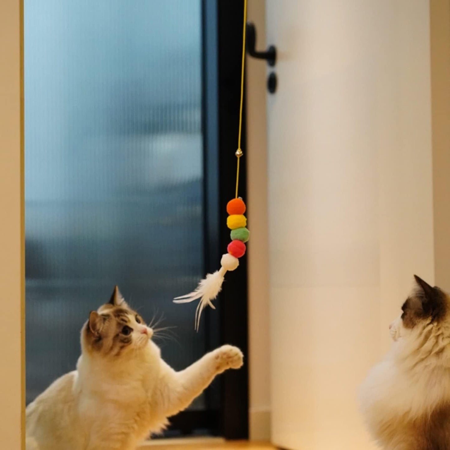 Cat Toys For Indoor Cats Interactive Cat Toys For Indoor Cats 200cm Hanging Cat Toy Self-Excited Retractable Nylon Stress Relief Cat Catnip Swing