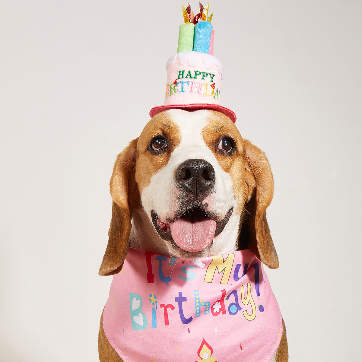 Creative Printing Dog Triangular Binder Birthday Saliva Towel Accessories