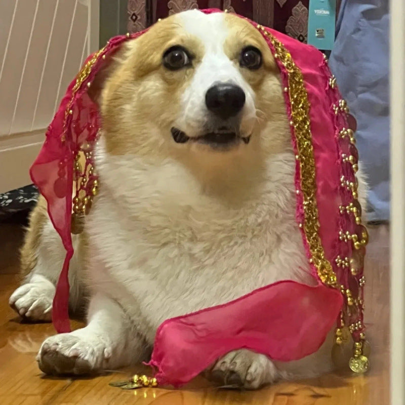 Belly Dance Fart Chain Sequined Waist Chain Enthusiastic Dog Fart Hip Scarf