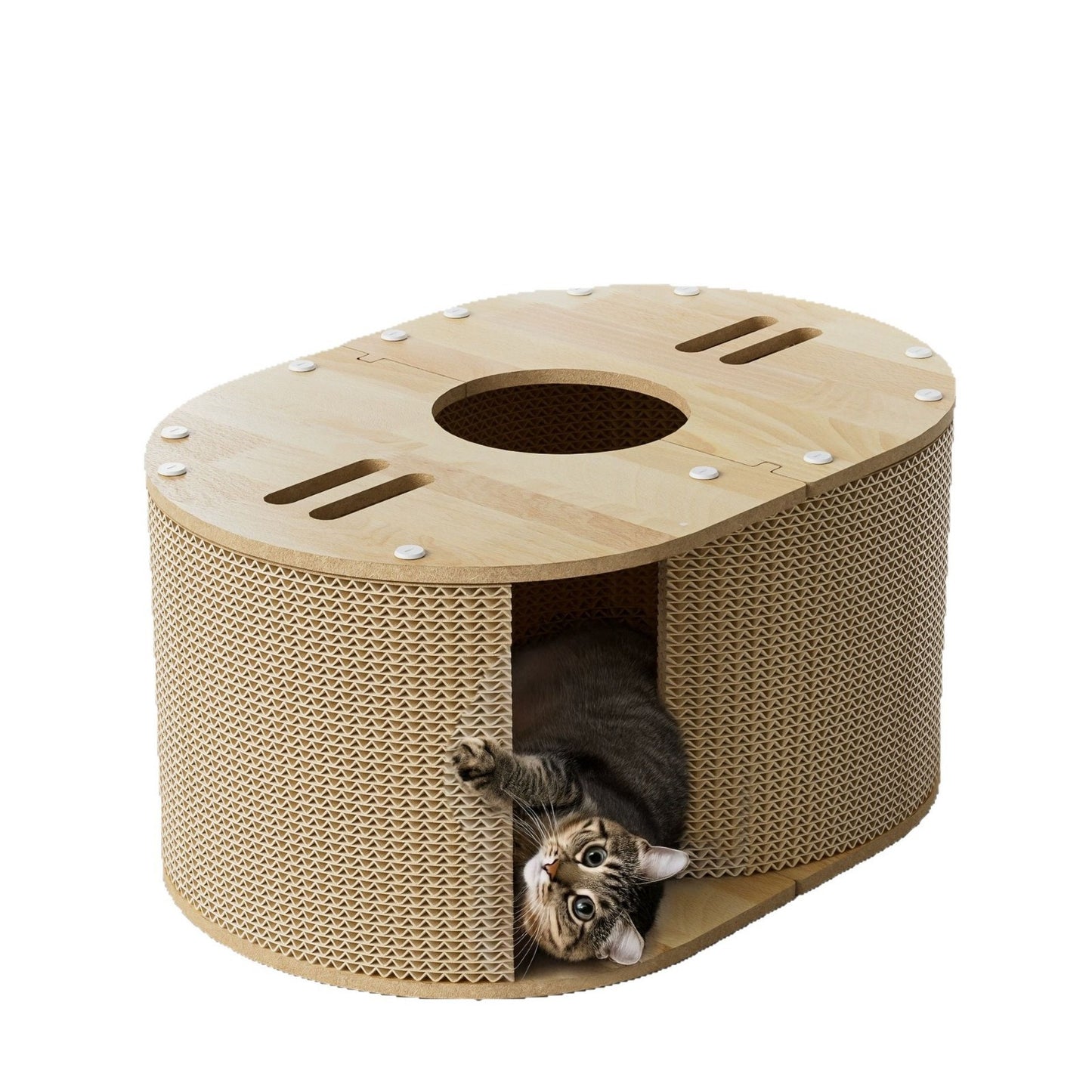 Cat Climbing Frame Small Four Seasons Universal