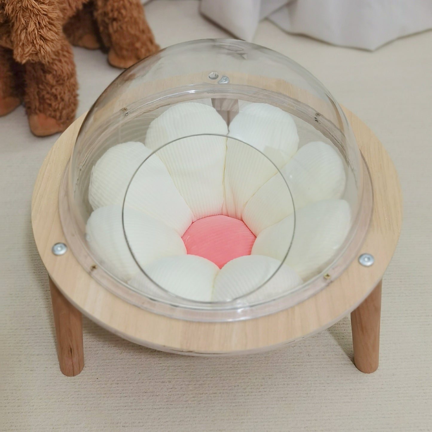 Space Capsule Cat Nest Sphere Transparent Closed