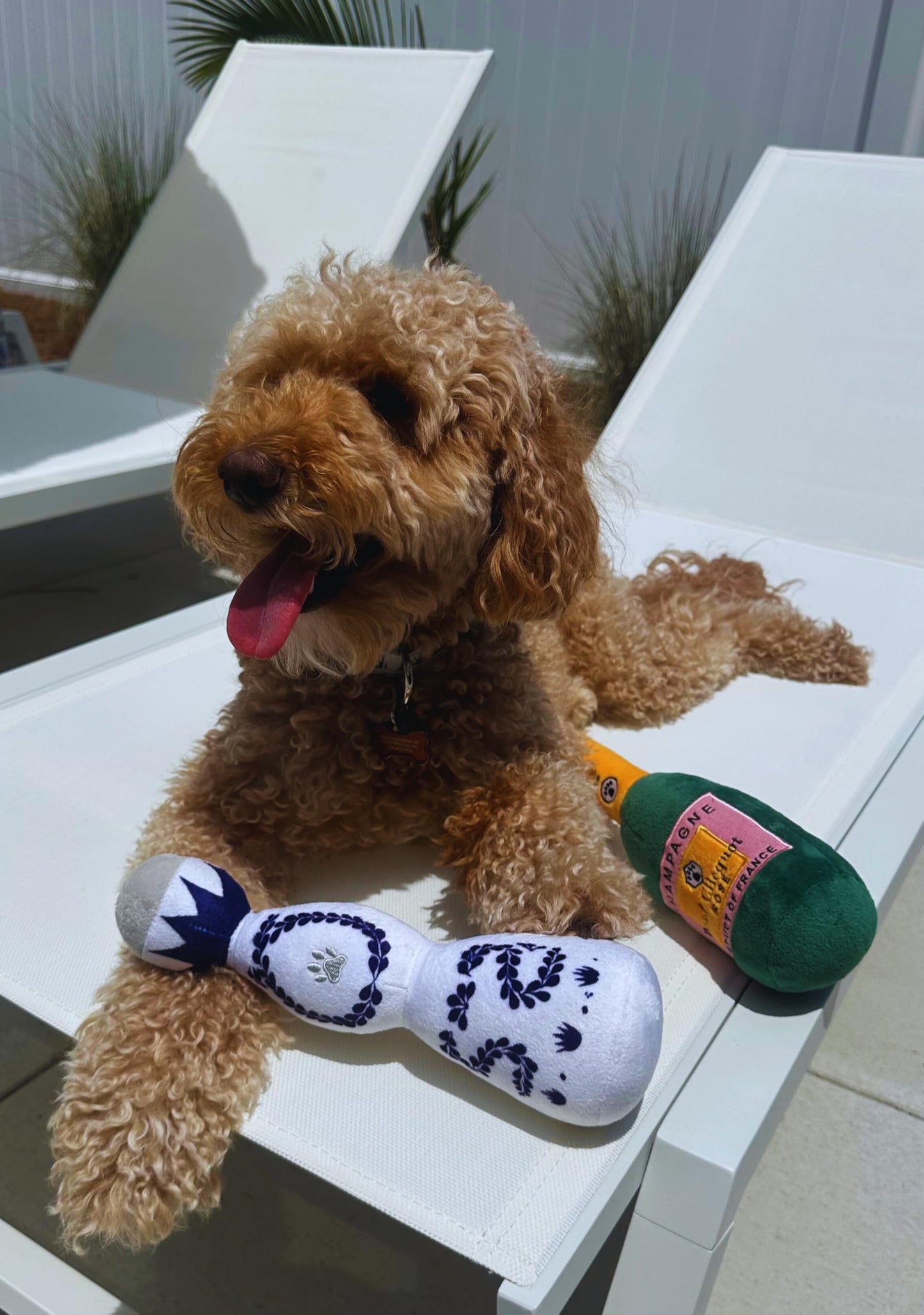 Funny Tequila Dog Toy Boujee Plush Dog Toy With Squeaker Funny And Cute Dog Toy For All Dog Sizes Great DogBirthday Toy Alcohol Dog Toy