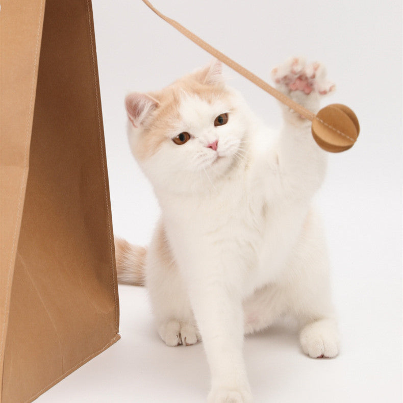 Cat Scratch Board Paper Bag Integrated Wear-resistant