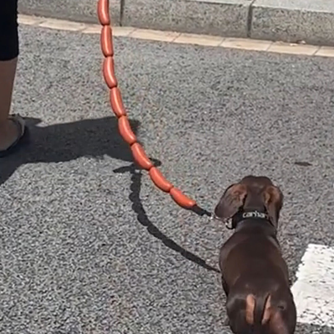 Dog Hand Holding Rope A Bunch Of Big Sausage