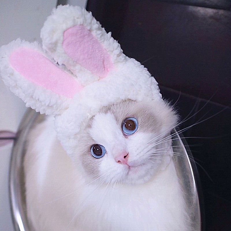 Funny Pet Dog Cat Costume Warm Hat Photo Props Headwear