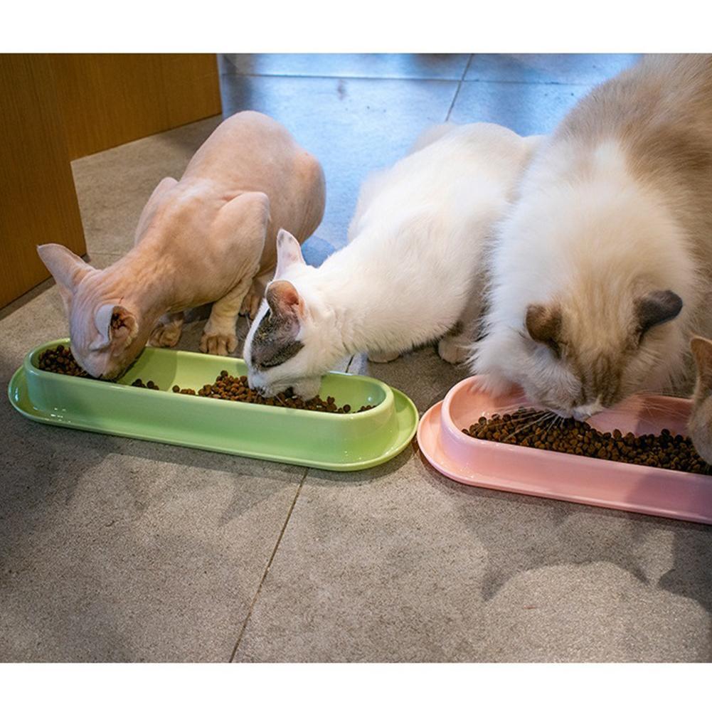 Pet Bowls Dog Food Water Feeder Leakproof Cat Dog Food Feeder Pet Supplies For Multiple Kitten Puppy Hotselling