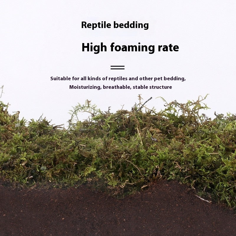 Climbing Pet Coconut Soil Turtle Winter Sleeping Supplies