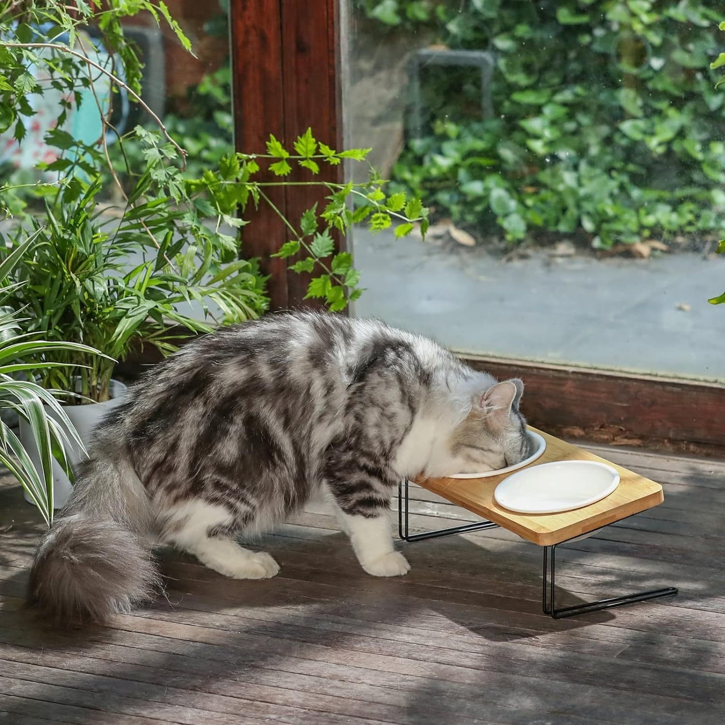 Small Dog Water And Food Feeder - Tilted Ceramic Bowl Set With Bamboo Stand