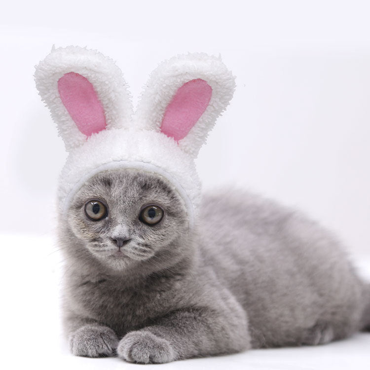 Fashion Warm Rabbit Ears Pet Hat