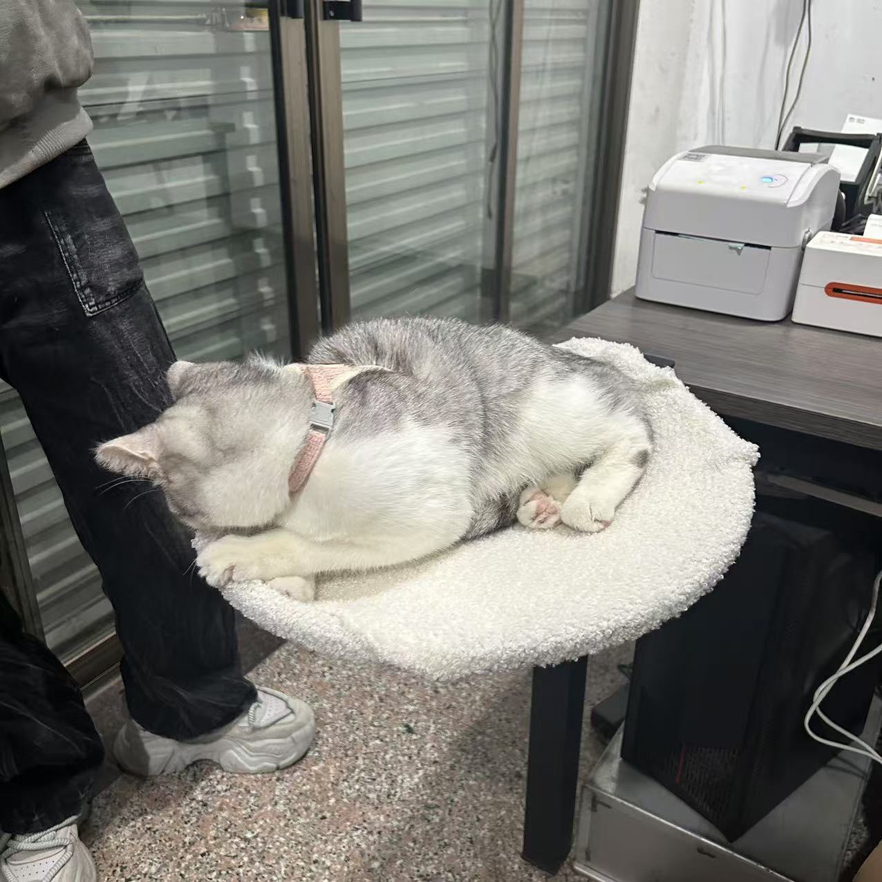 Pet Cat Nest Mobile Portable Disassembly Metal Cat Rack
