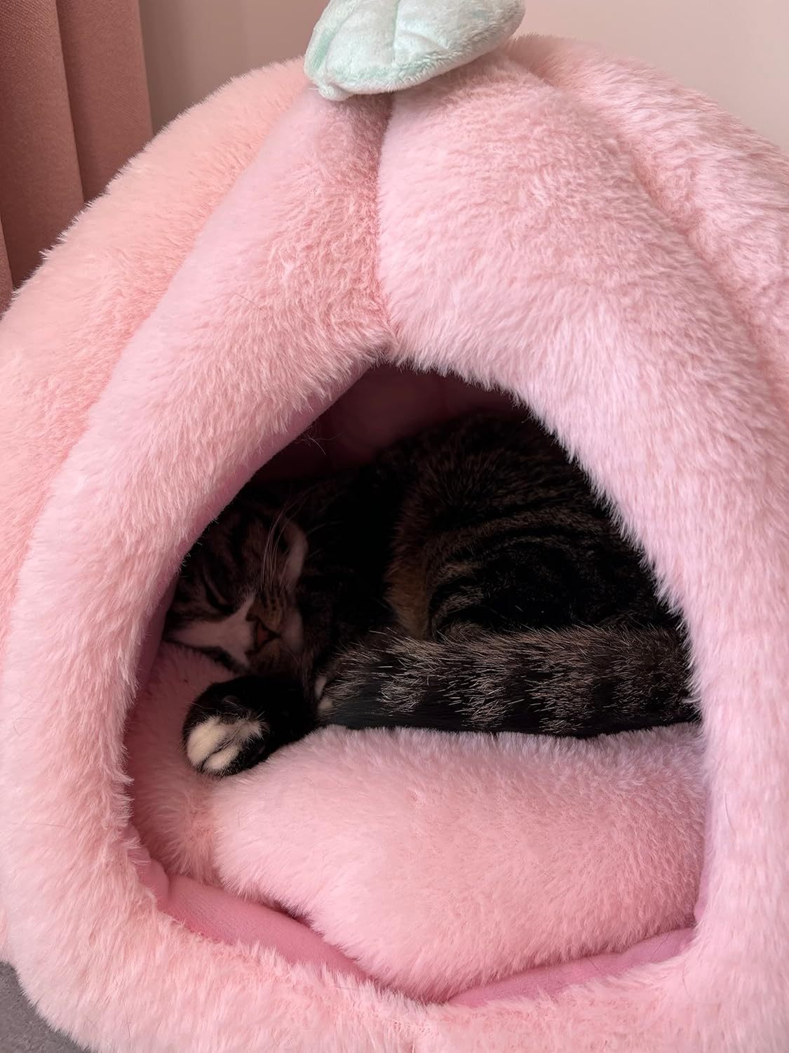 Pink Cat Houses - Soft Bed Tent Cave For Indoor Cats With Removable Cushion Pad