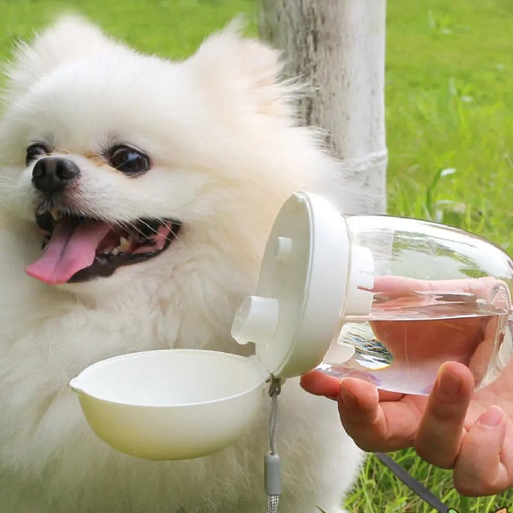 Portable Pet Water Bottle Outdoor Travel Drinking Cup Feeding Bowl With Lanyard For Small Medium Cats Dogs Pet Supplies High Temperature Resistance