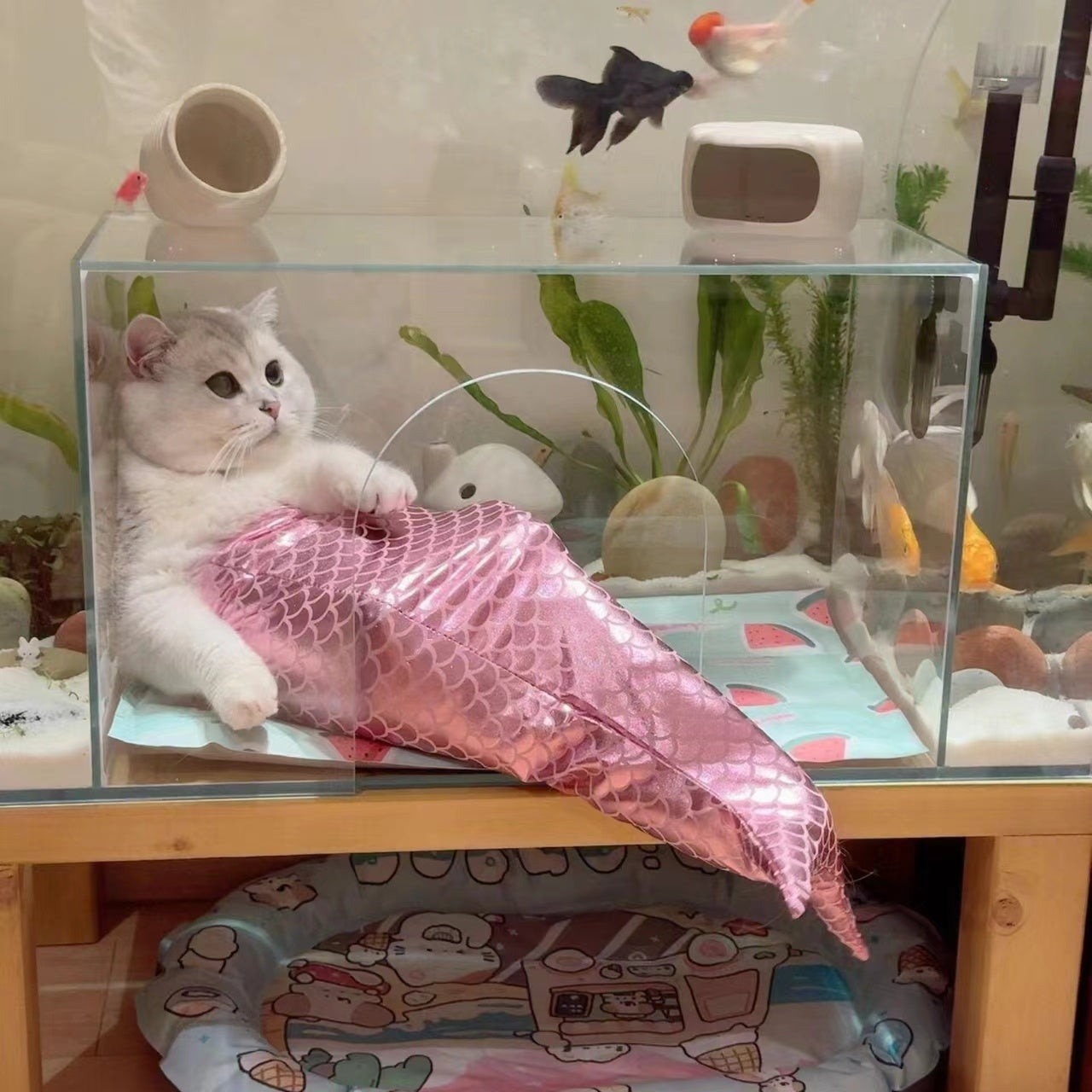 Mermaid Tail Cat Fishtail Decoration