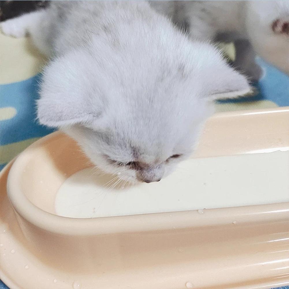 Pet Bowls Dog Food Water Feeder Leakproof Cat Dog Food Feeder Pet Supplies For Multiple Kitten Puppy Hotselling