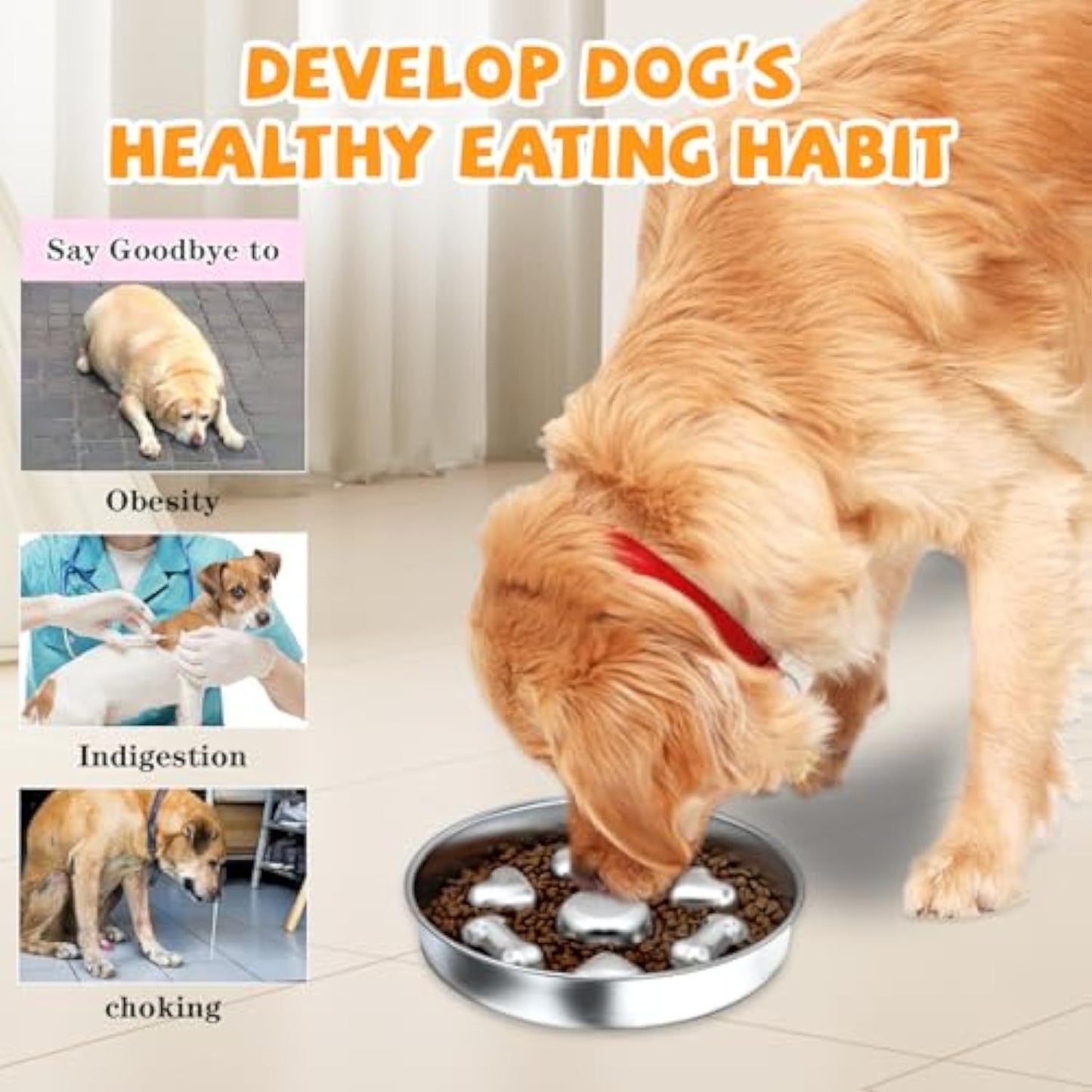 Slow Feeder Dog Bowls Non-Slip Metal Dog Food Bowls With Heart And Bones Design For Small Medium Large Dogs