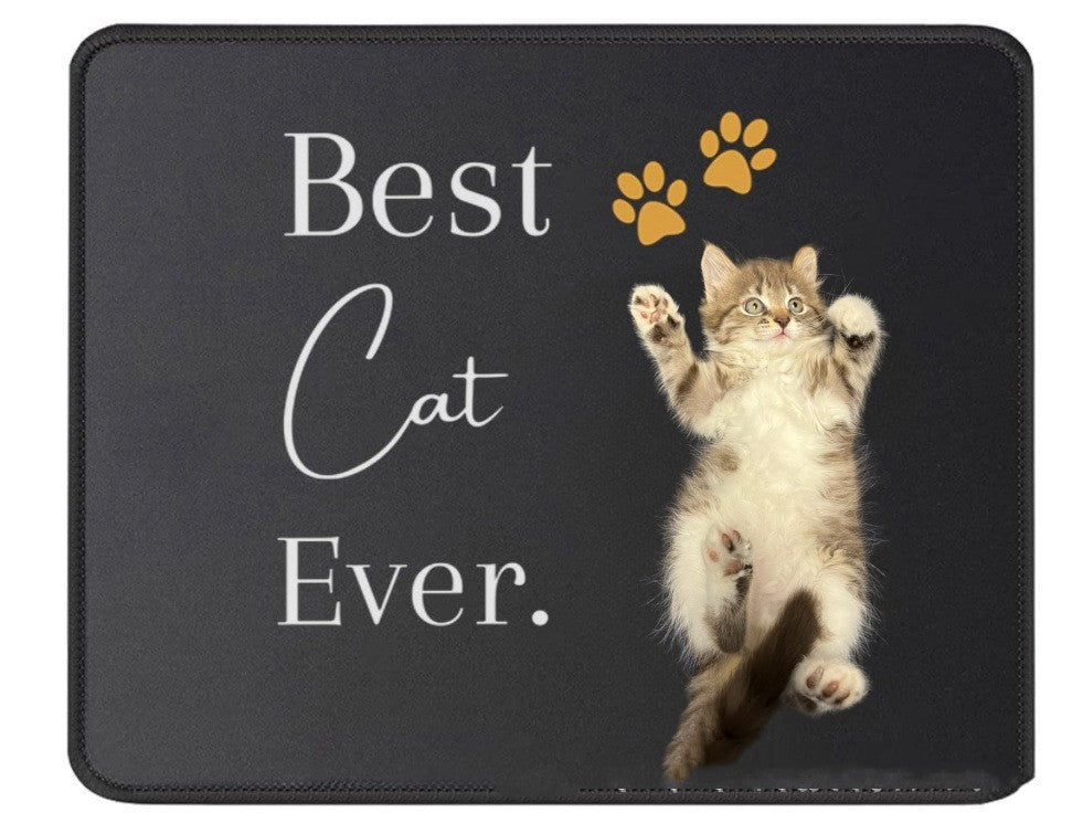 DIY Pet Cat Cloth Mat